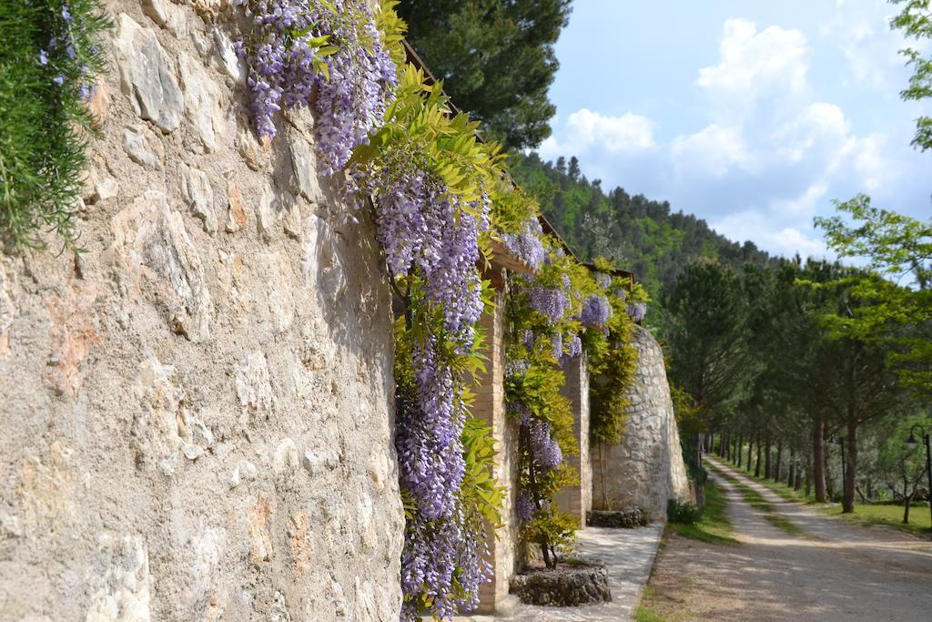 Agriturismo Istrice Innamorato Campello sul Clitunno Dış mekan fotoğraf